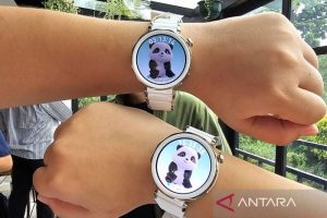 Huawei Menyapu Apple, Penguasaan Pasar Smartwatch Dunia Terkuasai