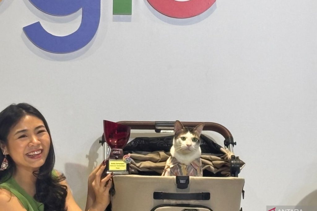 "Kucing Bobby Kertanegara, Si Raja Google Indonesia, Raih Penghargaan Bergengsi"