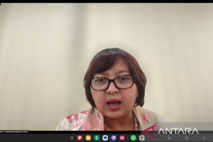 Kemlu Teliti Peluang untuk Menyelesaikan Konflik di Benua Afrika