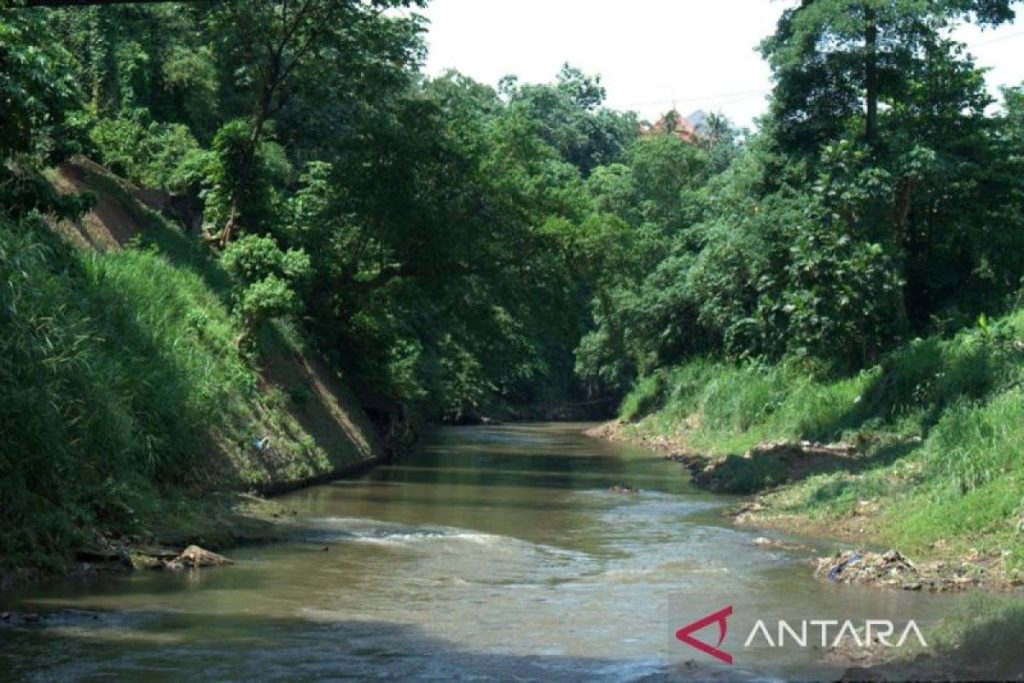 Hari Sungai Sedunia, 22 September: Kisah di Balik Perayaan Global ini
