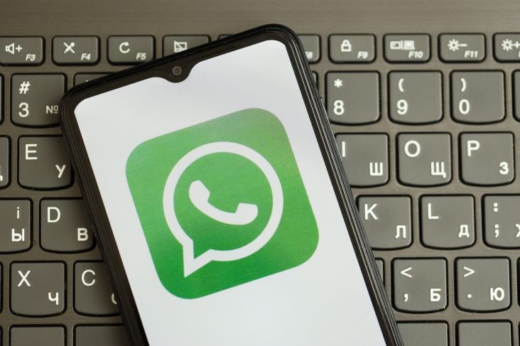 Inovasi Terbaru WhatsApp: Video Call dengan Background yang Berbeda, Begini Caranya!
