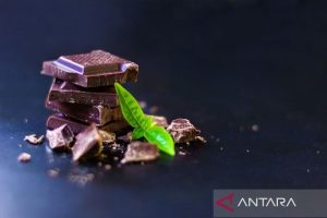 Cokelat Hitam, Sahabat Baru Penderita Diabetes? Studi Ungkap Fakta Menarik Ini!