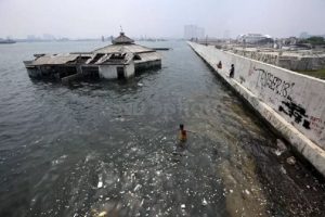 DPR Minta Prabowo Segera Bangun Giant Sea Wall demi Keselamatan Warga Pesisir