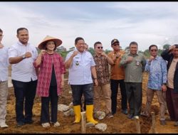 Ritual Pagi 10 Menit: Gerakan yang Menggantikan Kopi dan Tingkatkan Produktivitas