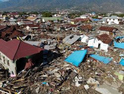 Gempa Bumi Papua Terkini 24 November 2025, BMKG Laporkan Gempa Baru