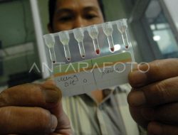 Stok Darah Kosong, Relawan Jadi Penyelamat PMI Tapin