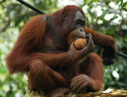 Orang Tua yang Tetap Menawan, Ini 8 Kebiasaan yang Mereka Lakukan