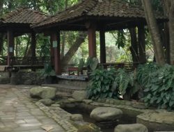 Itinerary Kampung Flory Sleman, Liburan Keluarga Murah Rp 165 Ribu