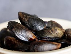 7 cara menyimpan kerang, simpan dengan wadah terbuka
