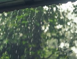 10 Makna Mimpi Hujan Lebat, Tanda Emosi dan Kesempatan Baru