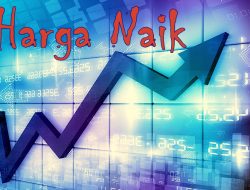 Harga Terendah Hari Ini: Promo JSM Indomaret dan Alfamart, 7 Desember 2025, Cek Harga Minyak Sania