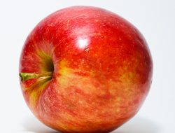 Apple Siapkan Produk 2026 dengan Harga Lebih Murah! iPhone dan MacBook Turun?