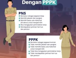 Jangan Salah Pilih! Ini Perbedaan Masa Kerja dan Pensiun PNS-PPPK yang Jarang Dibahas