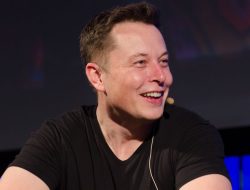 Elon Musk Kritik keras Dewan Perdamaian Trump