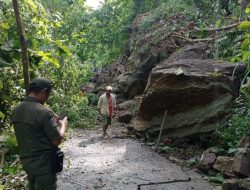Tanah Ambles di Gunungkidul: Lubang Bumi Kecil yang Mengancam