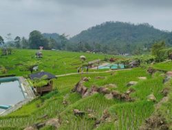 Transformasi Desa Tertinggal Jadi Juara Wisata Nasional Banyumas