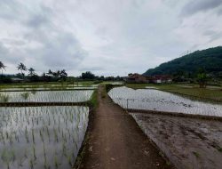 12 Jam Jakarta-Kuningan Tanpa Sinar Matahari