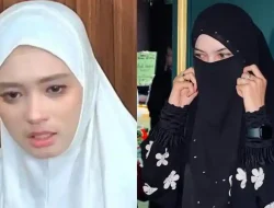 Sindiran Derry Saat Insanul Ucap I Love You Inara dan Mawa