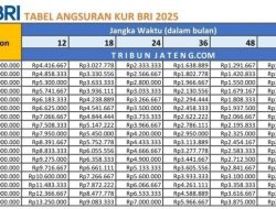 KUR BRI: Pinjaman Mulai Rp1 Juta Hingga Rp500 Juta, Cicilan Sampai 60 Bulan