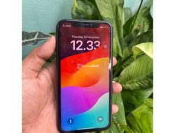 Harga iPhone 11 Bekas 256GB di Februari 2026, Sulit Temukan yang Baru