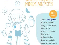 Bukan Hanya 8 Gelas: Waktu Minum Air Terbaik Saat Puasa Ramadhan