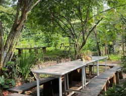 7 kafe alam terdekat di Bandung, tempat sempurna untuk melepas penat