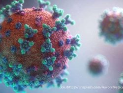 Virus Nipah Mengancam, Ini Rekomendasi WHO untuk Indonesia