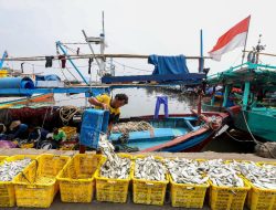 Nelayan Kesulitan Dapat BBM Subsidi, Stok Ikan Terancam Habis