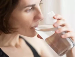 Minuman Sehat untuk Kesehatan Vagina
