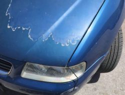 6 cara efektif menghilangkan jamur pada cat mobil tanpa perlu bengkel