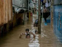 Kenali Leptospirosis, Penyakit Mematikan Saat Banjir yang Tewaskan 4 Orang di Pati