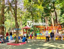 Liburan Seru di Sragen: 5 Wisata Keluarga dengan Pemandian dan Perbukitan