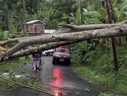 Detik-detik mencekam badai mengguncang Purworejo dan Wonosobo