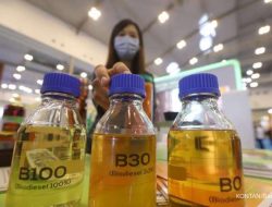 Harga minyak naik, B50 harus dipercepat penerapannya