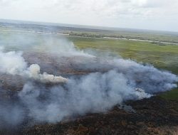 Tidak Ada Solusi untuk Masalah Karhutla