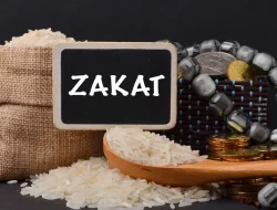 Wajib Tahu! Zakat Penghasilan 2,5%, Ini Syarat Nisab dan Cara Menghitungnya