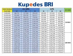 Cek Skema KUR BRI 2026: Pinjaman Modal Usaha UMKM