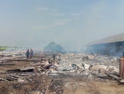 Mencekam! Ledakan Tengah Malam Guncang Winduhaji, Api Nyaris Hancurkan Ribuan Ayam H Dudung