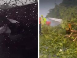Hujan deras tumbangkan papan reklame dan pohon di jalan tol