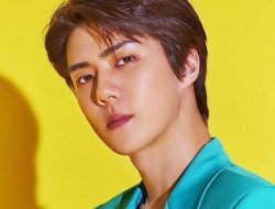 Pemilik 7 Sumber Kekayaan Sehun EXO, Calon Miliarder Investasi Handal